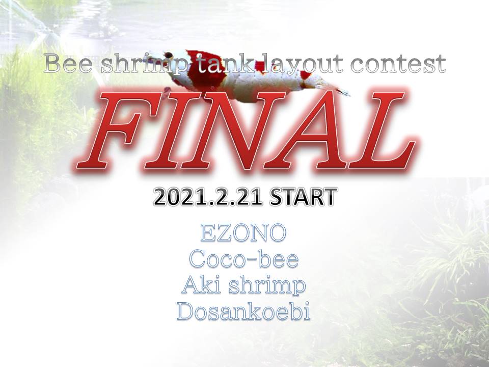 FINALBee shrimp tank layout contest FINAL2